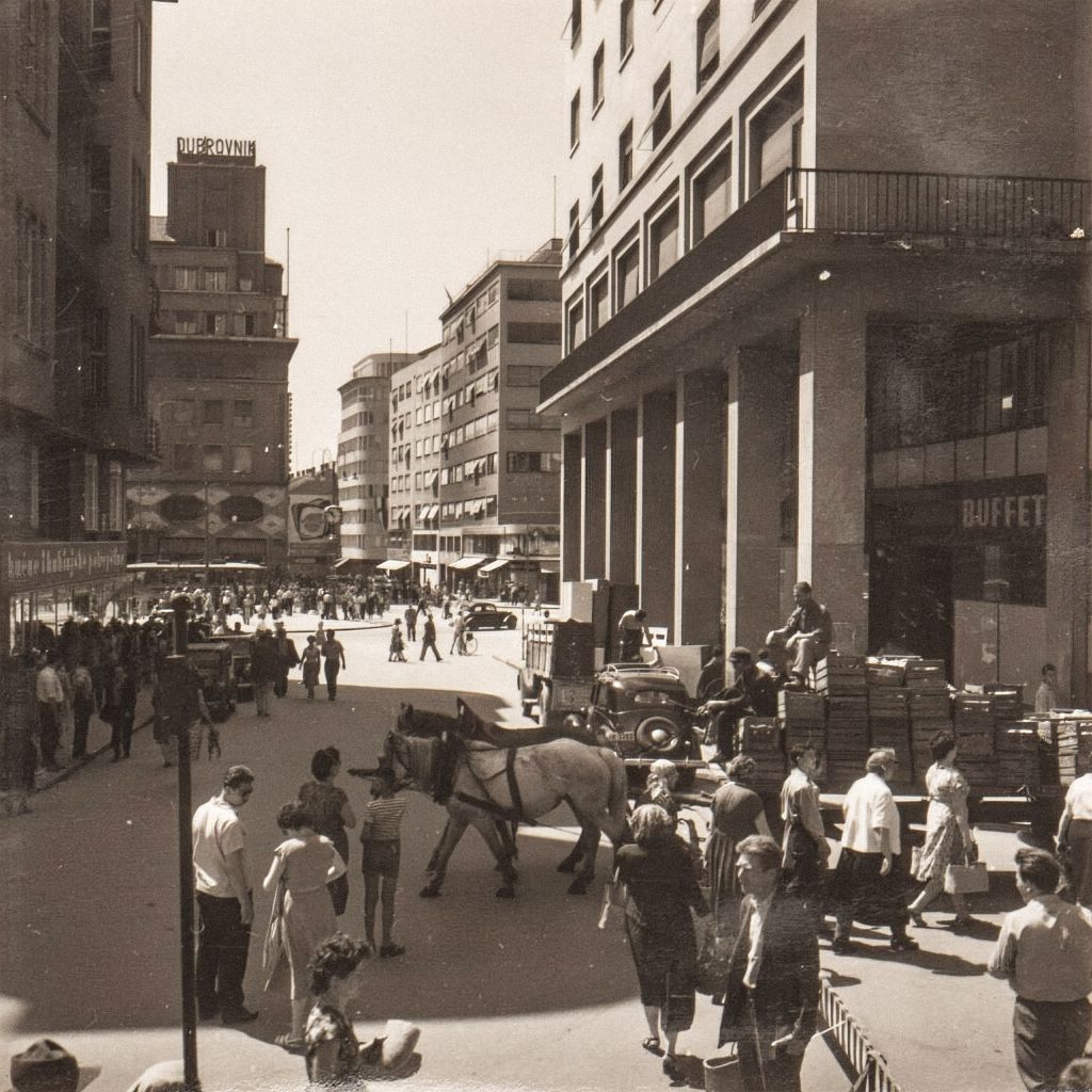Splavnica 1950-ih godina